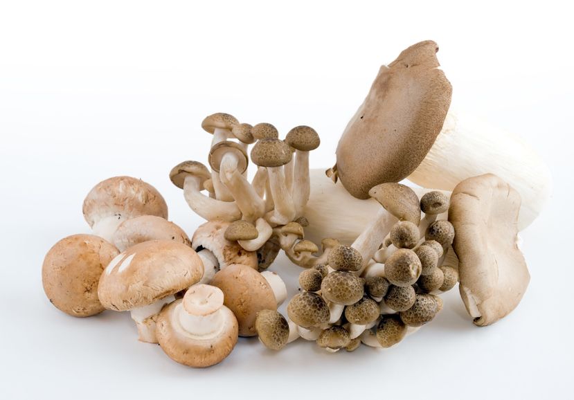 health benefits of mushroomsups