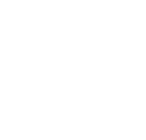 Icon-scale-2